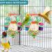 Bbjinronjy Bird Toys for Hanging | Natural Soft Sola Ball for Parrots Budgies & Small Birds - Buy Online on GoSupps.com