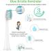 Soft Dupont Bristle Replacement Heads for Philips Sonicare Electric Toothbrush - Compatible with DiamondClean Models HX9312, HX9903, HX6208 - Pack of [Number] Refills - Buy Online on GoSupps.com