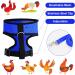 Molain Adjustable Chicken Harness & Leash - Comfortable Vest for Ducks & Hens (2-11 lbs) - Breathable Mesh Training Gear (Blue) - Buy Online on GoSupps.com