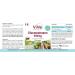 Glucomannan 500mg - 120 Vegan Capsules | Konjac Root Extract | Natural Fiber Supplement | Quality from Germany - Vive Supplements - Buy Online on GoSupps.com