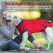 Duuclume Professional Pet Recovery Suit for Dogs | Cone Alternative Post-Surgery Bodysuit for Spayed & Neutered Bitches - Size S (Red) - Buy Online on GoSupps.com