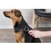 TRIXIE Fur Detangler for Medium Pets - Plastic/Metal 6 x 18 cm | Optimal Grooming Solution for International Shipping - Buy Online on GoSupps.com
