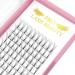 Premade Volume Eyelash Extensions 8D-D-0.07-14 Short Stem Premade Fans Eyelash Extensions 9 to 20 mm Volume Lash Extensions .07 .10 Pre made Lash Fans C D Curl (8D-D-0.07 14mm)