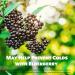 PlantFusion Vegan Complete Immune Support - 60 Lozenges | Boost Your Immunity - Buy Online on GoSupps.com