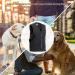 Dog Training Vest Pet Trainer Vest Dog Handler Trainer Vest-Windproof Dog Trainer Vest With Multiple Pockets Fishing Vest Summer Zipper Vest Sleeveless Jacket For Travel Hunting Photo - Buy Online on GoSupps.com