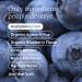 Genexa Infants Acetaminophen 160mg - Organic Blueberry Fever Relief for Babies - 2oz - Buy Online on GoSupps.com