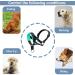 ILEPARK Adjustable Dog Halter - Padded Fabric Collars Prevent Pulling S Size Green - International Shipping Available - Buy Online on GoSupps.com