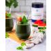 Buy Ora Easy Being Green Organic Alkaline Greens Powder with Citrus Flavor â€“ 240g - Buy Online on GoSupps.com