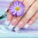 Builder Gel UV for Fiberglass Nail Extensions & Modeling - 15ml Transparent | Premium Gel Nails - Buy Online on GoSupps.com