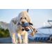 HUNTER Dog Toy Canvas Sansibar Rantum Lobster - 43 cm Durable & Fun for Dogs | International Shipping Available - Buy Online on GoSupps.com