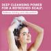 Gommage l'oignon pour cuir chevelu shampooing exfoliant naturel pour cheveux et cuir chevelu purifiant les cheveux soulage la s cheresse limine les pellicules pour tous les types de cheveux - Buy Online on GoSupps.com