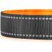Buy PCEOTLLAR Reflective Dog Collar - Padded Adjustable Soft Neoprene for Small & Large Dogs (Orange 40-50cm) | International Shipping Available - Buy Online on GoSupps.com