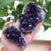 100-120g Natural Stone deep Amethyst Quartz Crystal Cluster Specimen - Buy Online on GoSupps.com