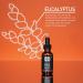 Wilkinson Sword Barber's Style Beard Oil - 30ml | For Men | Premium Grooming Essential - Buy Online on GoSupps.com