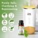 100% Pure Tea Tree Essential Oil - 30 ml (2 Pack) for Skin, Nails, Hair, Acne & Dandruff Control - GuruNanda Therapeutic Grade Oil - Aromatherapy Diffuser, Skin Care & Beauty - Buy Online on GoSupps.com