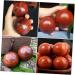 Ultechnovo Solid Wood Massage Balls - 4 Pieces for Muscle Relief Trigger Point Therapy & Foot Massage - Enhance Blood Circulation & Wellness - Buy Online on GoSupps.com