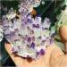 Natural Crystal Cluster Amethyst Specimen Ore Purple Reiki Stone Raw Crystal Home Decor Decoration Gift (Size : 500-600) - Buy Online on GoSupps.com
