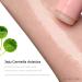 NUBORN CELL Multi Talks Balm - Advanced Moisturizing Face Balm Stick with Stem Cell Milk Protein & Collagen | Korean Skincare | 9.4g - Buy Online on GoSupps.com