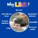 Likit Treat Bar 90g | Great Horse Treat for Training or Reward | 90g (Cherry) - Buy Online on GoSupps.com