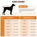 Convinit Dog Life Jacket - Waterproof Adjustable Life Jackets for Small Medium & Large Dogs - Perfect for Boating Swimming & Surfing with Reflective Strips & Handle - Orange - Buy Online on GoSupps.com