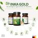 YOYOSAN Inka Gold Organic Capsules Made of Quinoa & Amaranth Rich in Amino Acids and Micronutrients Free from Additives 120 Vegan Capsule - Buy Online on GoSupps.com