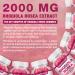 Buy Sugar-Free Rhodiola Rosea Gummies | Adaptogenic Supplement for Mood Stamina & Performance | Non-GMO Vegan - 120 Chews - Buy Online on GoSupps.com