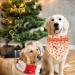 Buy Lionheart Glory Dog Haller - Washable Christmas Bib & Adjustable Kerchief for Small Dogs | Pink Gingerbread Man Design - Buy Online on GoSupps.com
