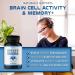 Havasu Nutrition Ginkgo Biloba 120mg - Supports Brain Health, Mental Alertness, Memory & Focus - Buy Online on GoSupps.com