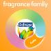 Softsoap Antibacterial Liquid Hand Soap - Gentle Clean Sparkling Pear Scent - 11.25 oz 6 Pack - Buy Online on GoSupps.com