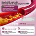 Hollgend Red Yeast Rice with Coq10 Gummies Sugar Free Organic Red Yeast Rice 2400mg for Cholesterol Lowering Supplements Enhanced with Coenzyme Q10 200mg for Heart Health Support 60 Chewables 1 Count (Pack of 60) - Buy Online on GoSupps.com