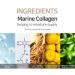 PETITFEE Collagen & Co Q10 Hydrogel Eye Patch - 60 pcs (30 pairs) | Wrinkle Moisturizing | Korean Cosmetics - Buy Online on GoSupps.com