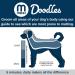 Mikki Puppy Stainless Steel Comb & Slicker Brush Set for Doodles & Cockapoos - Blue/Grey Small Grooming Kit - Buy Online on GoSupps.com