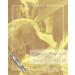 TODREMOU Dog Whistle Recall Training Metal-Professional High Pitch (Sliver X1) - Buy Online on GoSupps.com