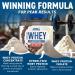 Buy Critical Whey Cinnamon Bun - 2000g | Best International Shipping & Premium Protein Fitness Supplement - Buy Online on GoSupps.com