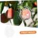 GANAZONO Shaped Growth Mold Fruit Vegetable Growing Mold Small Shaper Molds Shaping to Play with Maitreya - Buy Online on GoSupps.com