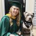 Whaline Graduation Dog Bandana 2 Pack - Reversible Triangle Bibs for Dogs & Cats | Adjustable & Washable Pet Kerchief Scarf for Everyday Wear & Parties - Buy Online on GoSupps.com