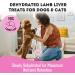 The Granville Island Pet Treatery Dehydrated Lamb Liver Treat (80g) Food for Dogs & Cat Treats Dog Chews Food Bites Single Ingredient to Maintain Nutrients Vitamins and Healthy Oils | Made in Canada Lamb Liver 80 g (Pack of 1) - Buy Online on GoSupps.com
