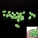 100PCS Glow Beads Fishing Lures 10x18mm | Luminous Oval Eggs Tackles | Green Glow in The Dark | Hard Plastic Jigging Lures - Buy Online on GoSupps.com