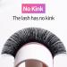 VEYES INC Premium Classic Volume Eyelash Extensions Tray - C-0.03, 10mm | Mink Silk Individual Lashes for Salon Use - Buy Online on GoSupps.com