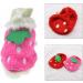 2PCS Strawberry Guinea Pig Winter Apparel Coats - Small Pet Warm Costumes for Rabbits, Ferrets, Chinchillas, Kittens - 3XS - Buy Online on GoSupps.com