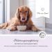 Annimally Probiotics for Dogs - 1.5 Billion KBE 120 Tablets for Healthy Gut & Diarrhea Relief - Boost Immune System - Buy Online on GoSupps.com