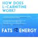 Buy Tasty Pre-Workout Gummies Boost Energy & Mental Focus | High in L-Carnitine for Faster Recovery International Shipping Available - Buy Online on GoSupps.com