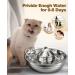 Stainless Steel Cat Water Fountain 2L/67oz - Quiet & Low Noise Design for Multiple Pets - Sliver - Buy Online on GoSupps.com