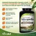 NutraA2Z Extra Strength Ashwagandha - 120 Vegetarian Capsules - 1300mg Root Powder with BioPerine - Stress Reduction Support - Buy Online on GoSupps.com