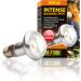 Exo Terra Intense Basking Spot Lamp R20 25W E27 - Ideal Heat Source for Reptiles - International Shipping Available - Buy Online on GoSupps.com