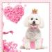 Zhenp Dog Wedding Dress Set - 3 Pieces Tutu Rock for Dogs Princess Crown Birthday Outfit & Collar for Little Pets - Buy Online on GoSupps.com