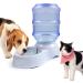 1 Gal Pet Water Dispenser Station - Automatic Gravity Waterer for Dogs, Cats, and Small Animals - Buy Online on GoSupps.com