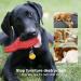 Ruxan Dog Toys - Durable Squeaky Chew Toys for Medium & Large Dogs - Interactive Natural Rubber for Aggressive Chewing - Red - Buy Online on GoSupps.com