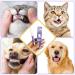 Wechoid Cvreoz Gel for Oral Repair - Toothed Gel for Pets | Combat Bad Breath & Tartar (6PCS) - International Shipping Available - Buy Online on GoSupps.com