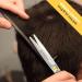 Equinox Professional Razor Edge Hair Cutting Scissors Set - 6.5 Inches - Barber Shears Kit for Men/Women - Silver - Buy Online on GoSupps.com